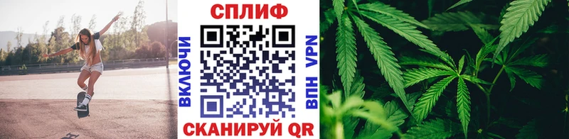 Конопля THC 21%  магазин продажи   Макарьев 